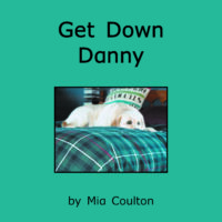 Get Down Danny Cover