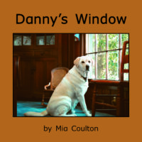 Danny's Window Cover