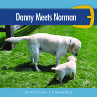 Danny Meets Norman Cover