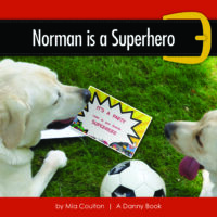 Norman is a Superhero Cover