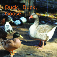 Duck, Duck, Goose Cover