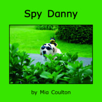 Spy Danny Cover