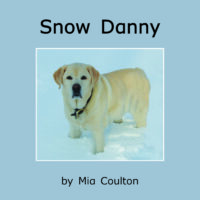 Snow Danny Cover