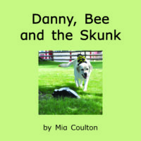 Danny, Bee and the Skunk Cover