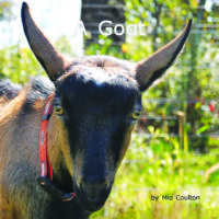 A Goat Cover