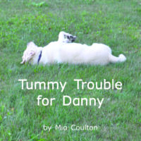Tummy Trrouble for Danny Cover