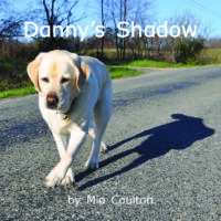 Danny's Shadow Cover