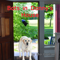 Bats in Danny's House Cover